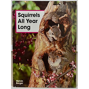 Squirrels All Year Long