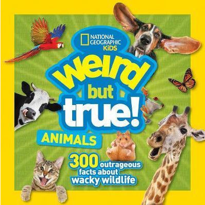 Weird But True Animals Paperback